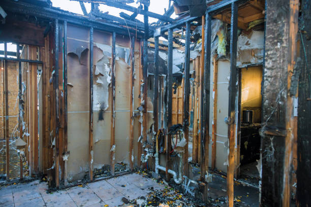 Professional Smoke Damage Removal technician working in Portola, CA